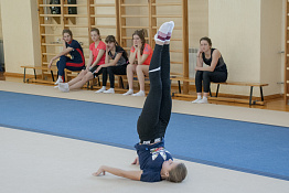 Олимпиада школьников по физической культуре (7-8.02.2020)