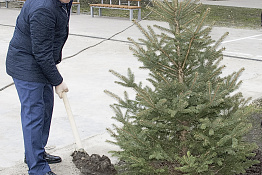 Посадка ёлок во внутреннем дворе университета  (21.02.2019)