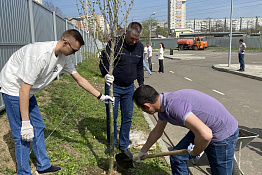 В КГУФКСТ высадили аллею в честь погибших выпускников - участников СВО.