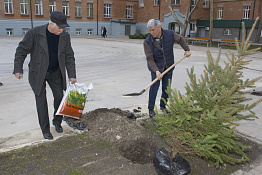 Посадка ёлок во внутреннем дворе университета  (21.02.2019)