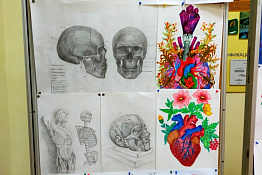 На кафедре анатомии и спортивной медицины университета подвели итоги конкурса анатомического рисунка.
