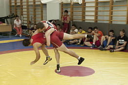 Вступительные испытания по избранному виду спорта (17.07., 19.07.2019)