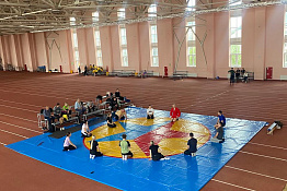 На базе КГУФКСТ были проведены курсы повышения квалификации для учителей физической культуры.