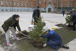 Посадка ёлок во внутреннем дворе университета  (21.02.2019)