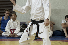 Вступительные испытания по избранному виду спорта (17.07., 19.07.2019)