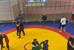 На базе КГУФКСТ были проведены курсы повышения квалификации для учителей физической культуры.