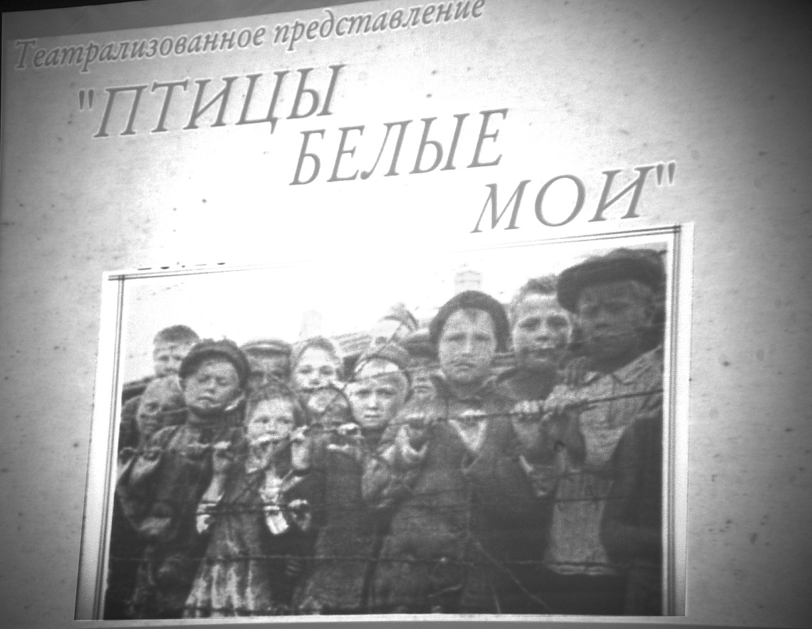 В КГУФКСТ в преддверии Дня Победы прошло театрализованное представление «Птицы белые мои».