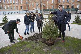 Посадка ёлок во внутреннем дворе университета  (21.02.2019)